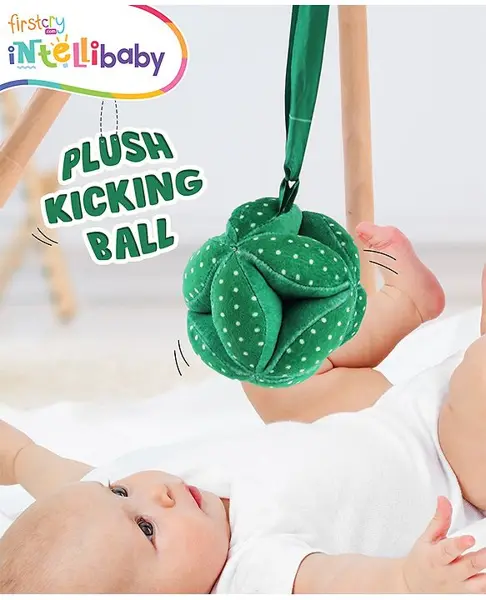 Intellibaby Plush Soft Kicking Ball - Multicolor