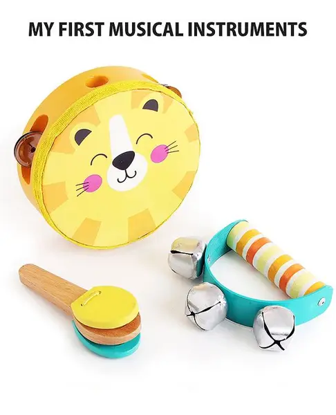 Intellibaby Wooden Musical Instrument Set Level 9 - Multicolor