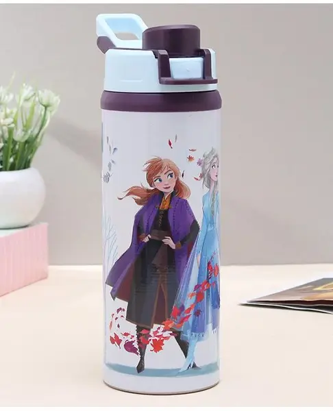 Frozen Sipper Bottle - 500 ml (Color may vary)