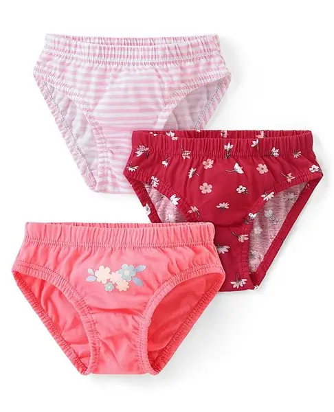 Babyhug 100% Cotton Single Jersey Panties with Floral & Stripes Pattern Pack of 3 - Multicolor