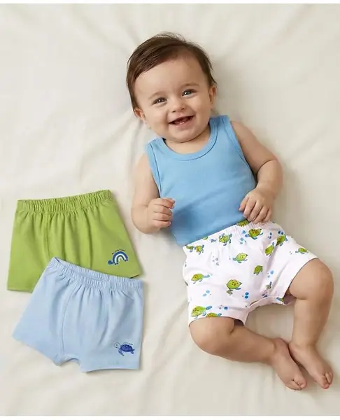Babyoye Cotton Lycra Knit Briefs with Tortoise Print Pack of 3 - Blue Green & White